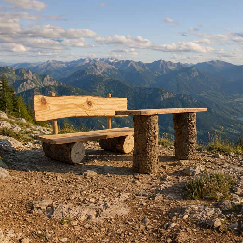 Holzbank schmal handarbeit echtholz